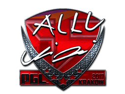 allu (Foil)