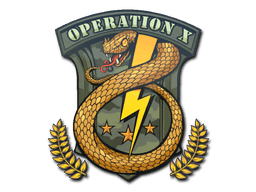 Badge of Service
