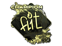 FL1T (Gold, Champion)