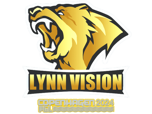 Lynn Vision