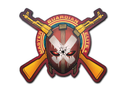 Master Guardian Elite