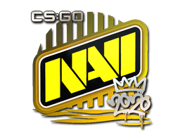 Natus Vincere
