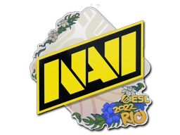 Natus Vincere