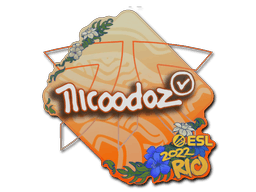 nicoodoz