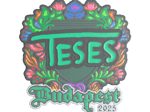 TeSeS (Embroidered)