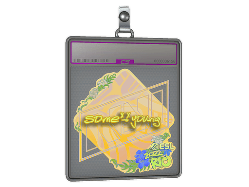 Sticker Slab | sdy (Holo) | Rio 2022