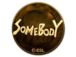 somebody (Gold)
