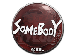 somebody