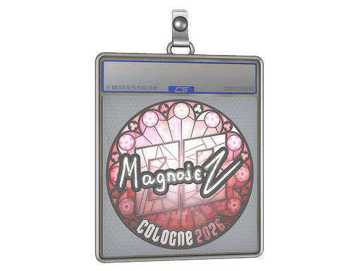 Magnojez