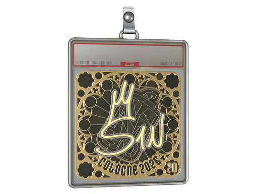 s1n (Gold, Ranked)