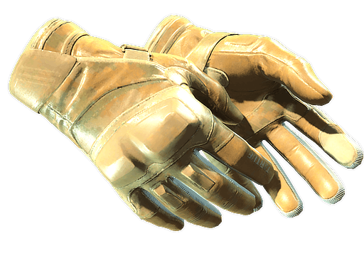 Moto Gloves Transport