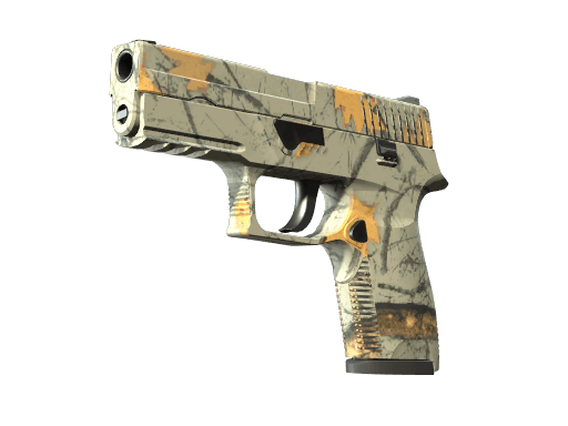 P250 Modern Hunter
