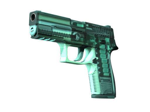 P250 X-Ray