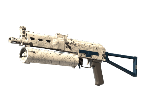 PP-Bizon Facility Sketch