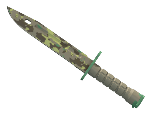 Bayonet Boreal Forest