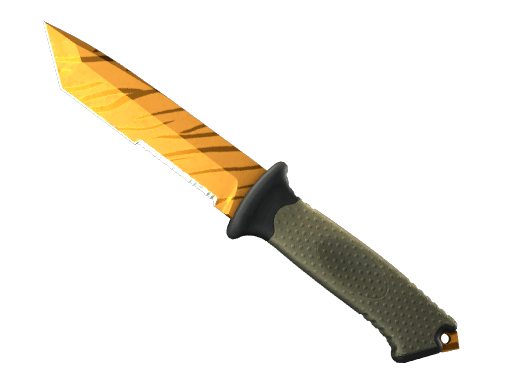 Tiger Tooth
