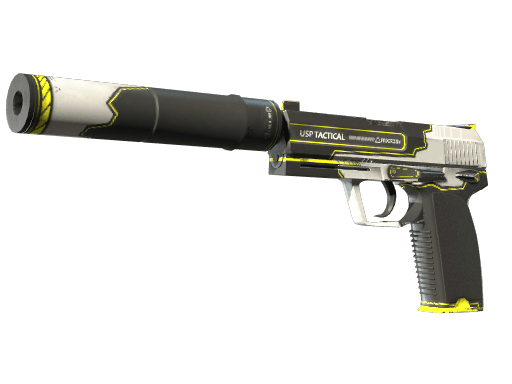 USP-S Torque