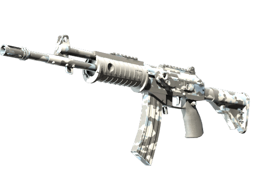 Galil AR Winter Forest